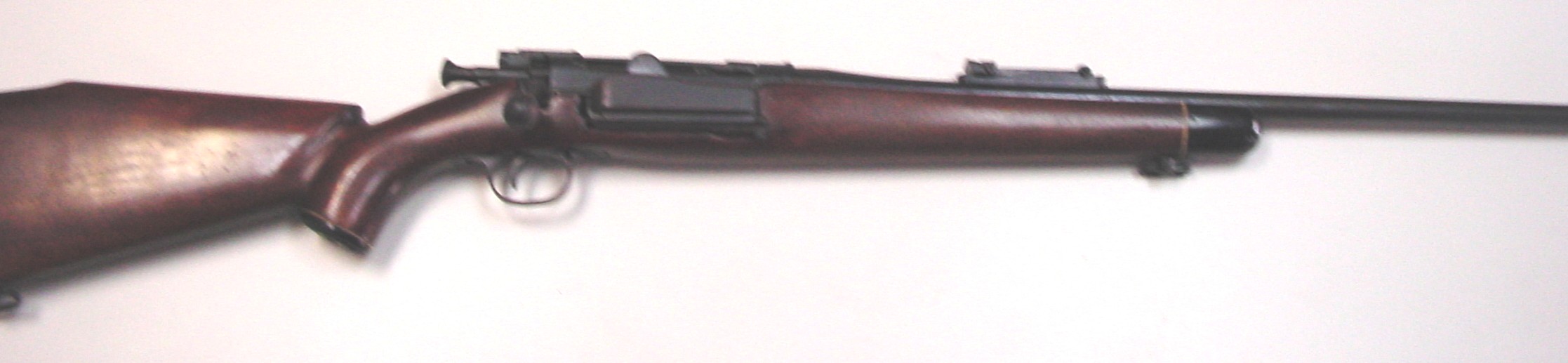 1897_Steyr.JPG