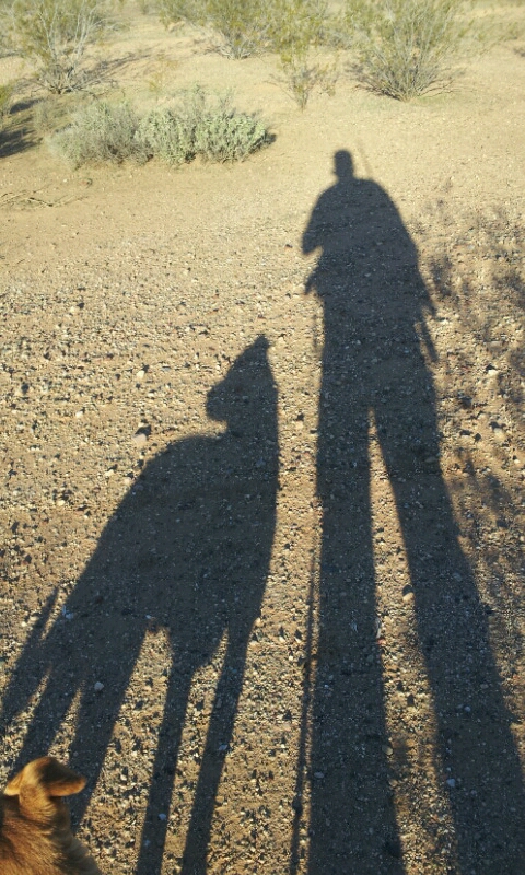 20130223_081517.jpg