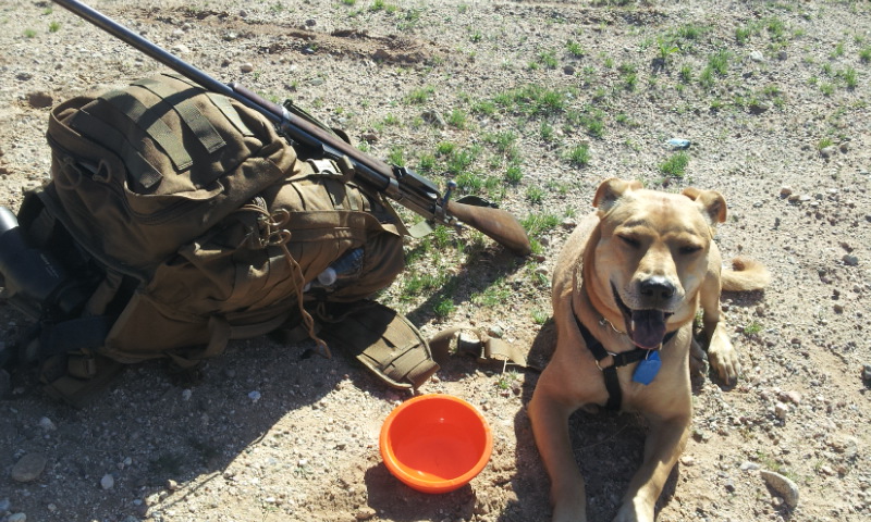 20130223_095159.jpg