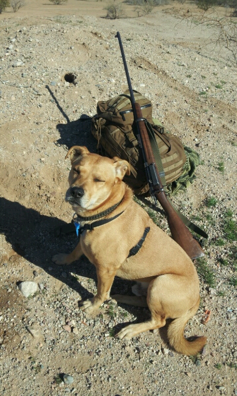 20130223_095813.jpg