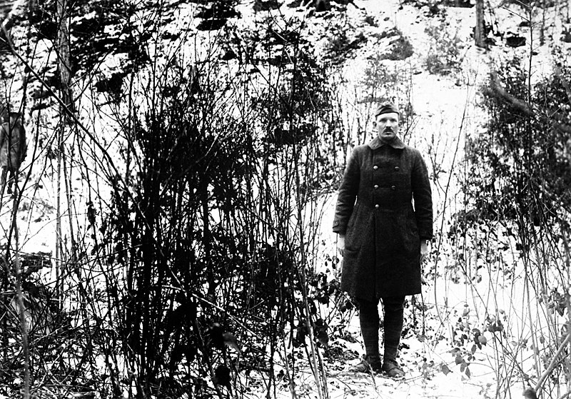 Alvin_C__York_shows_hill_on_which_raid_took_place_7_February_1919.JPEG