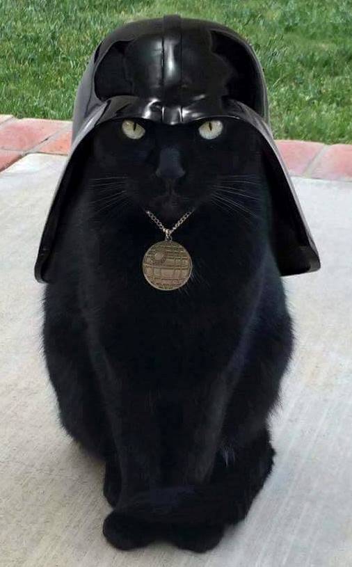 Cat_Vader_001.jpg