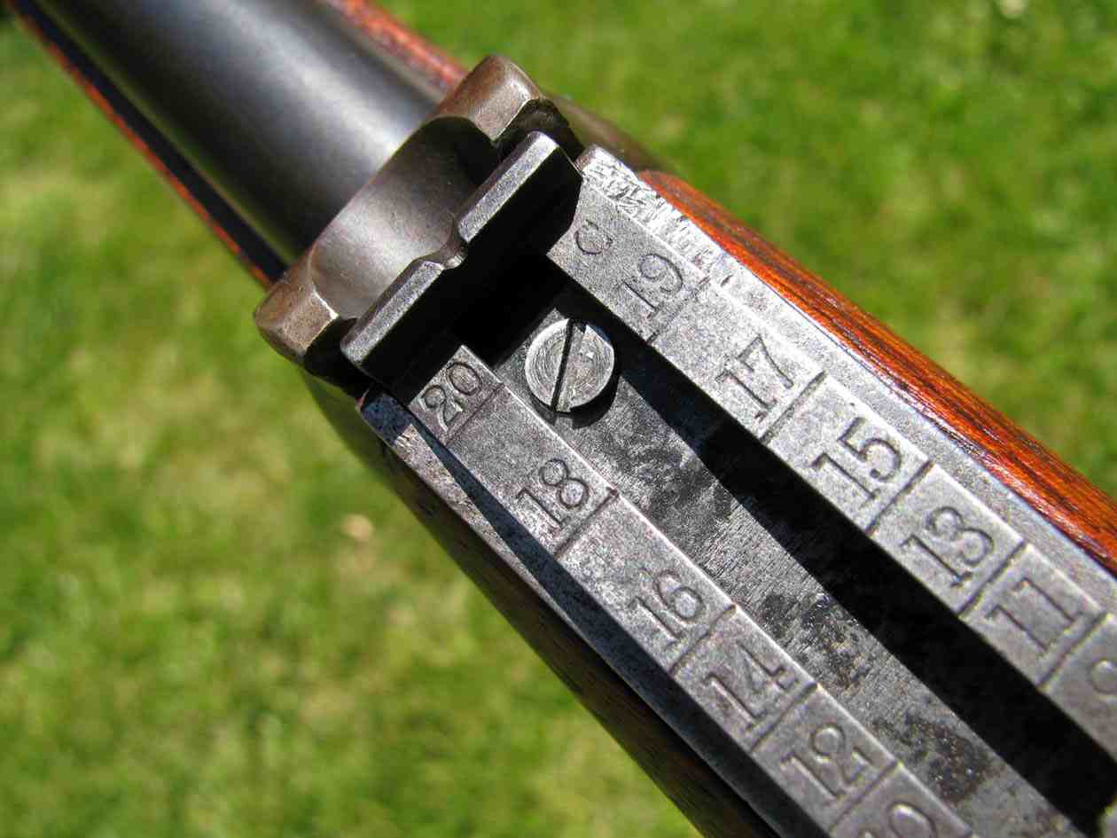 Krag_Sight_Leaf_Close__C__Reduced.jpg
