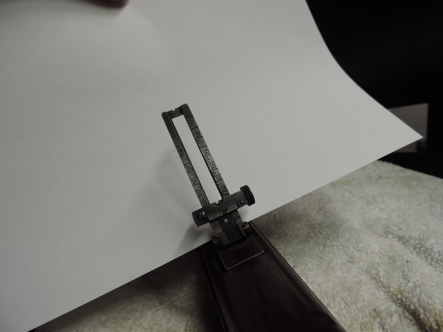M1901b.jpg