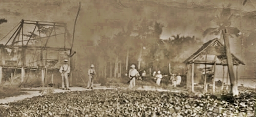 Town_burned_by_USS_Vicksburg_sailors_on_Samar_Oct_1901.jpg